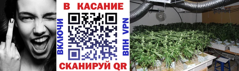 ГАШИШ Тайшет