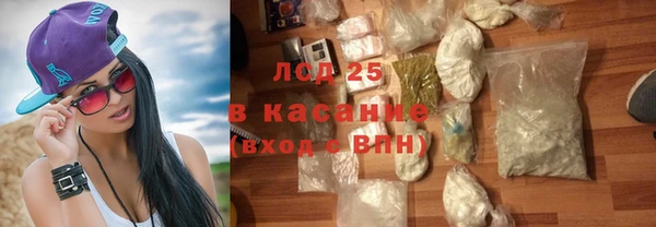 a pvp Новозыбков