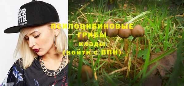 прущие крисы Алексеевка